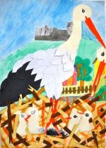 Korbová Klaudia.jpg